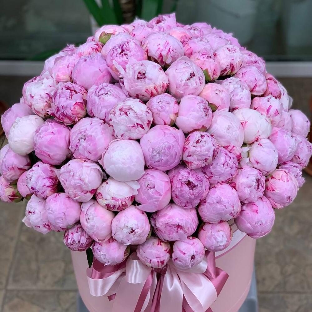 Пионовый шик (101 пион в коробке) Пионовый шик (101 пион в коробке)